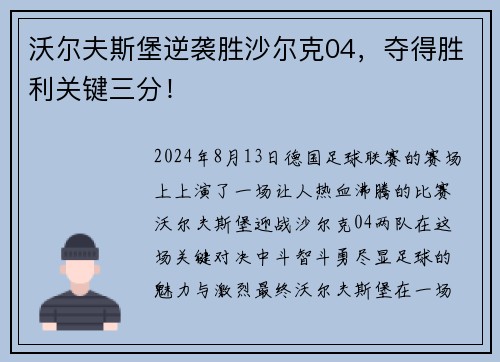 沃尔夫斯堡逆袭胜沙尔克04，夺得胜利关键三分！